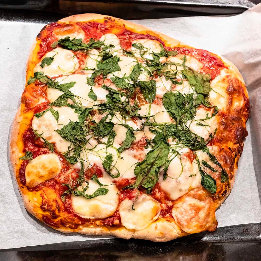 homemade-pizza-with-sliced-mozzarella-cheese-PPRXM7F.jpg